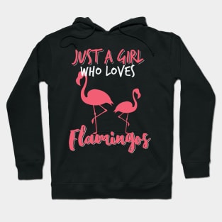 Flamingo Love - Summer Flamingo Girls Hoodie